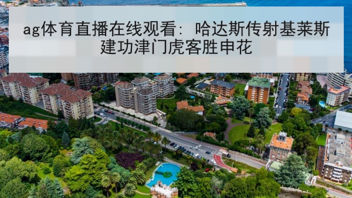 ag体育直播在线观看: 哈达斯传射基莱斯建功津门虎客胜申花 ag体育直播在线观看: 哈达斯传射基莱斯建功津门虎客胜申花